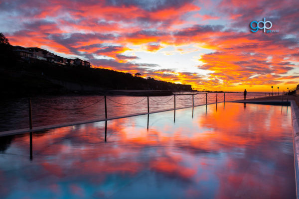 Clovelly Culture