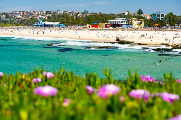 Maroubra Clarity