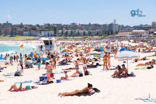Bondi Sun