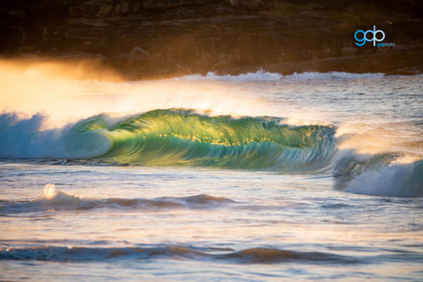 The Bowl
