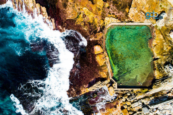 Reef