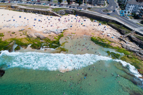 Swimmers