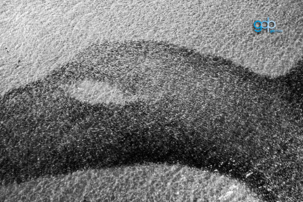Eye of the Monster