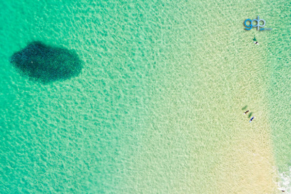 Surf Space