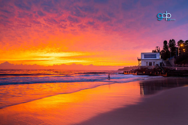Infusion Coogee