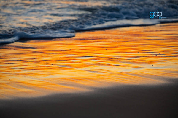 Gold Elegance