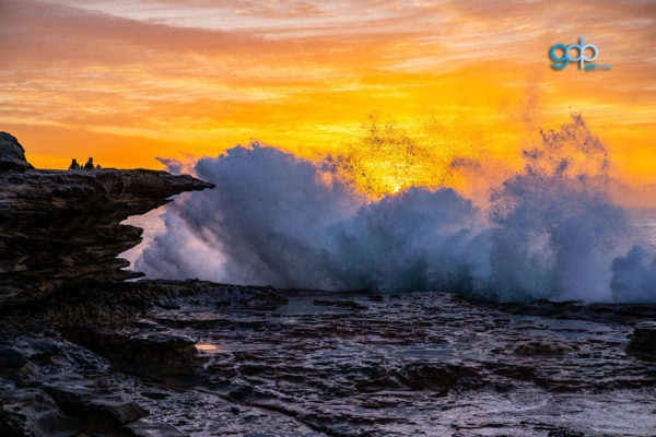 Splash