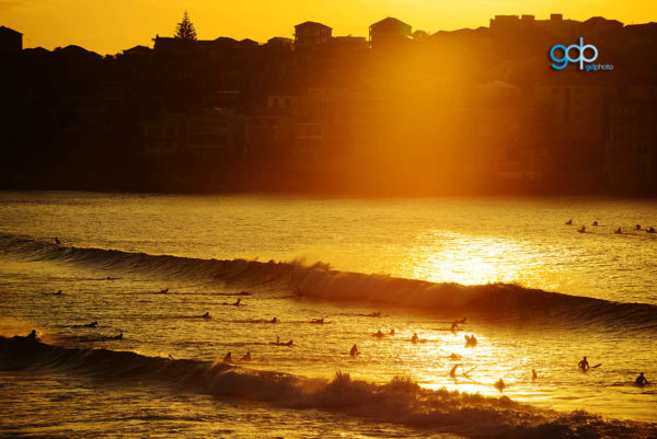 Bondi Gold Lineup