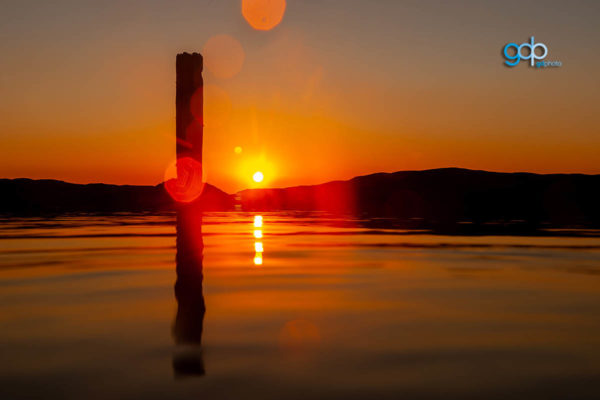 Ivor Rowe Bokeh