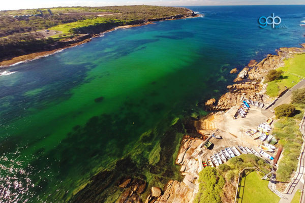 Long Bay Skids