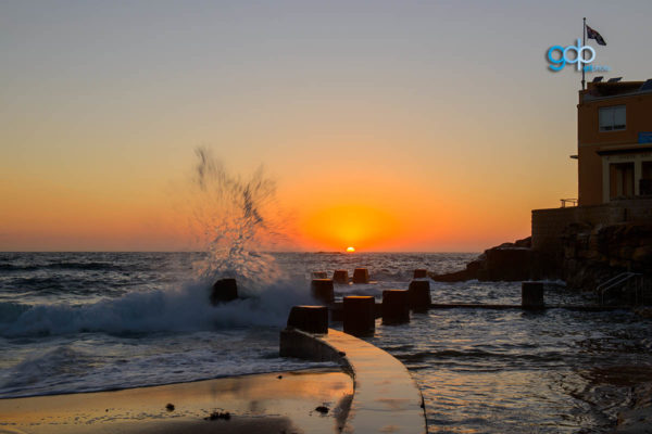 Coogee Splash
