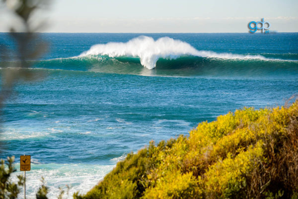 Wedding Cake Lefts