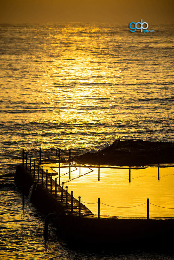 Gold Delight