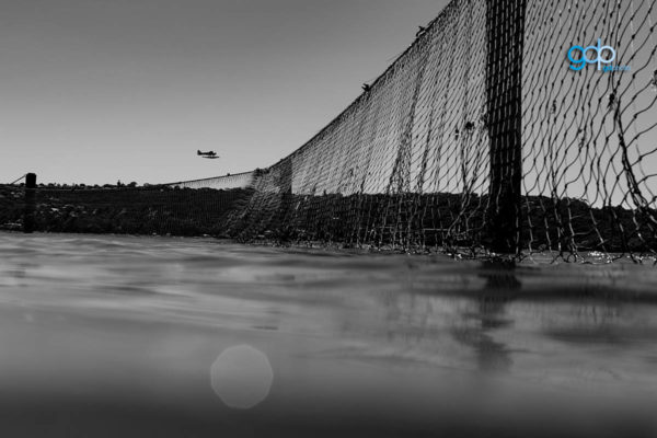 Neilsen Park Seaplane