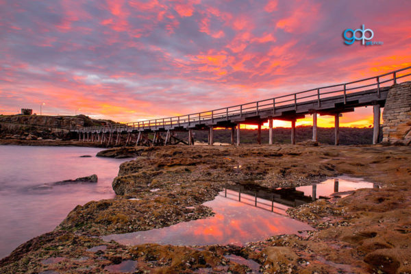 Pink Dawn