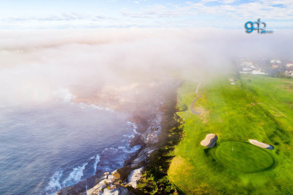 Little Bay Fog