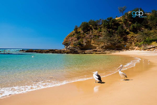 Shelly Beach
