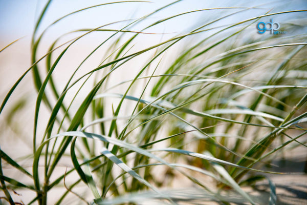 Dunes