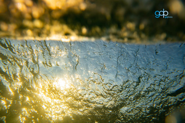 maroubra gold glass