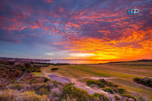 BAY DELIGHT