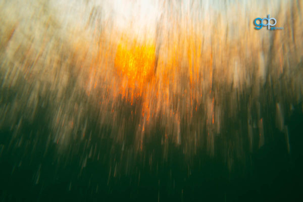 Golden falls