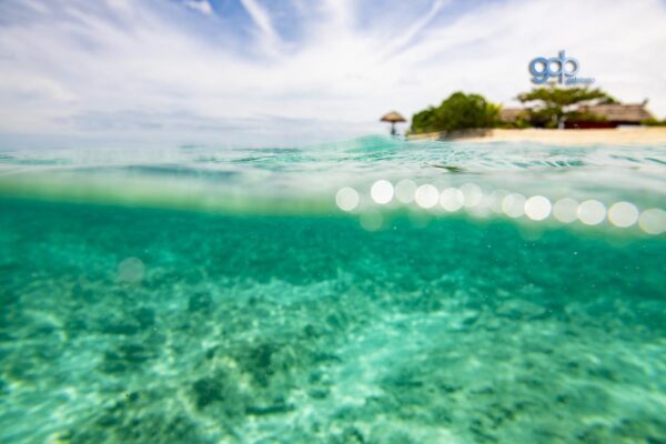 Island Dream