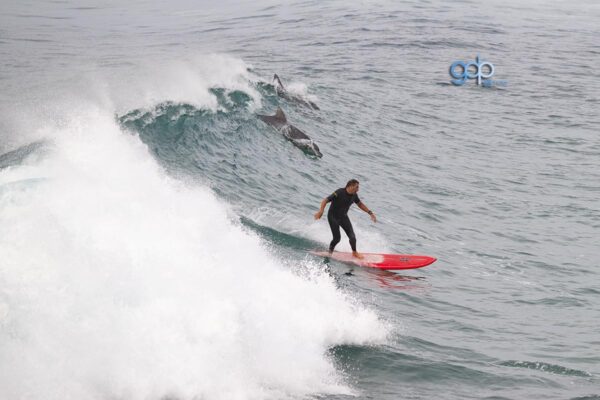 Dropping In