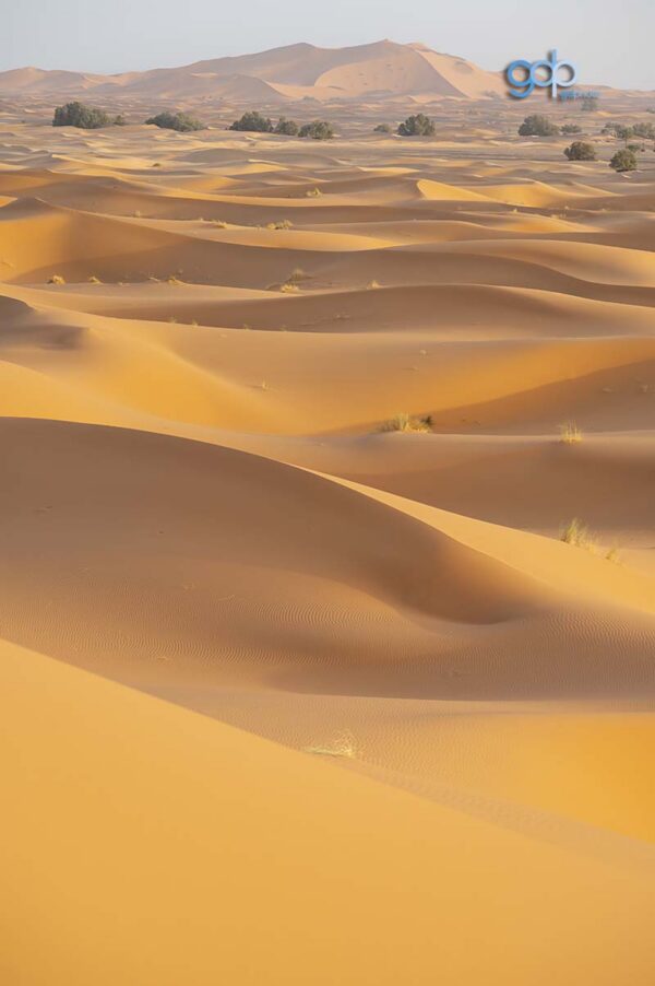 Morocco Shadows