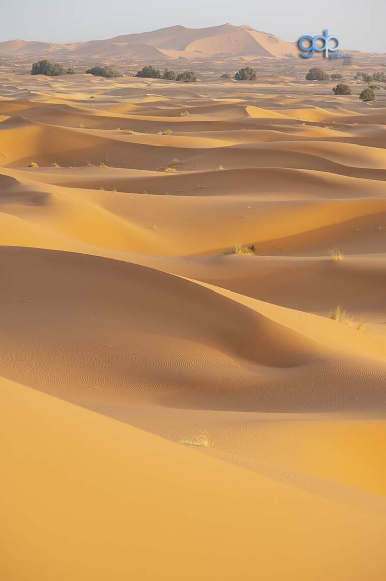 Morocco Shadows