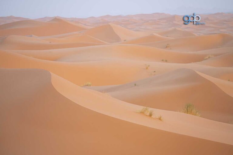 Sahara Dusk