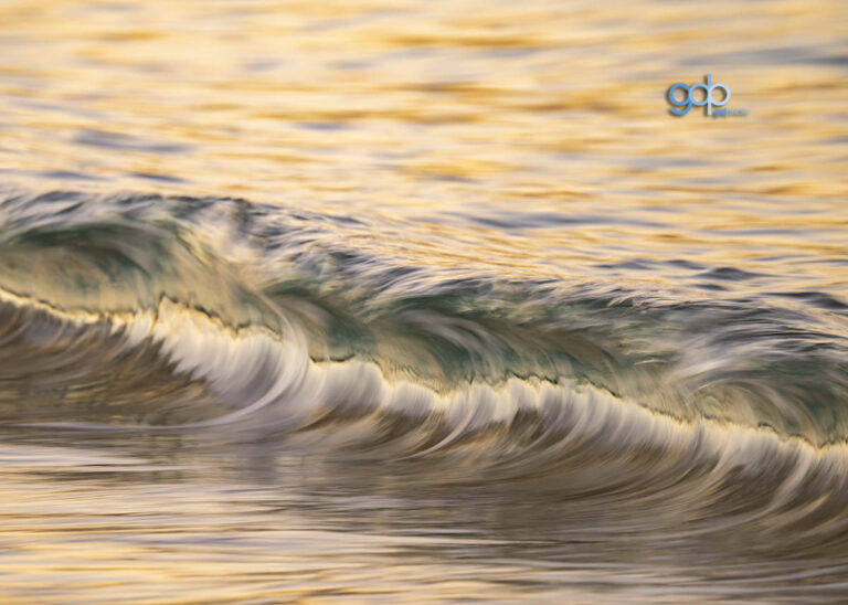 Golden Curl